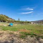 Véritable Mas Provençal à * La Palud-sur-Verdon