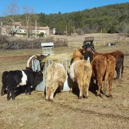 Hébergement de vacances Veritable Mas Provencal A